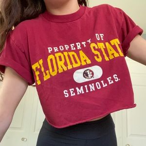 ✰FLORIDA STATE CROP TOP ✰